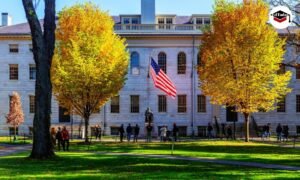 Read more about the article Reclaiming Hope Behind Bars: How Higher Education Restored My Confidence and Humanity